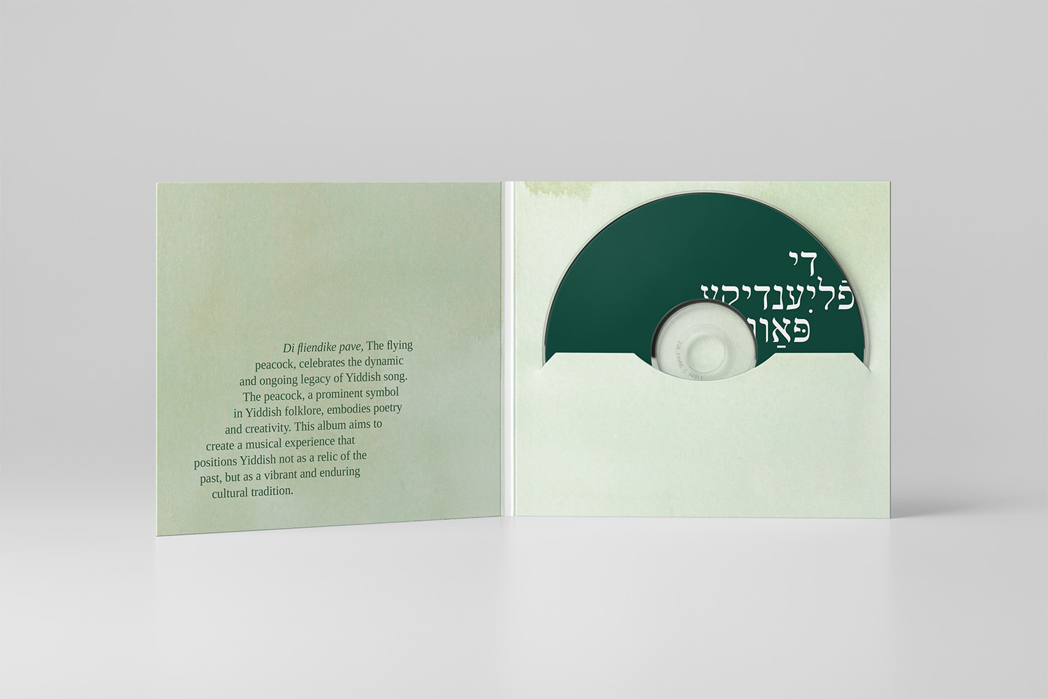 CD_Design_HannahMayr_03