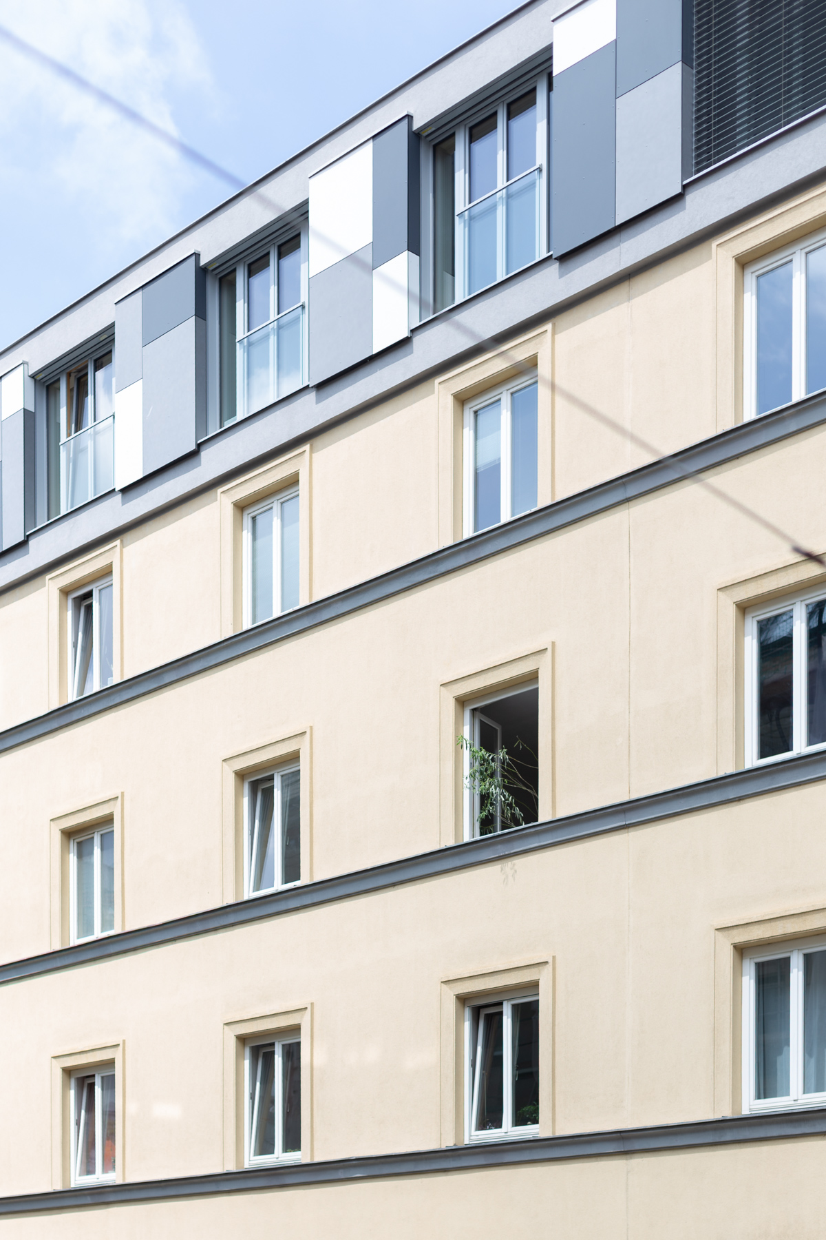baeumeurban_c_HannahMayr_03