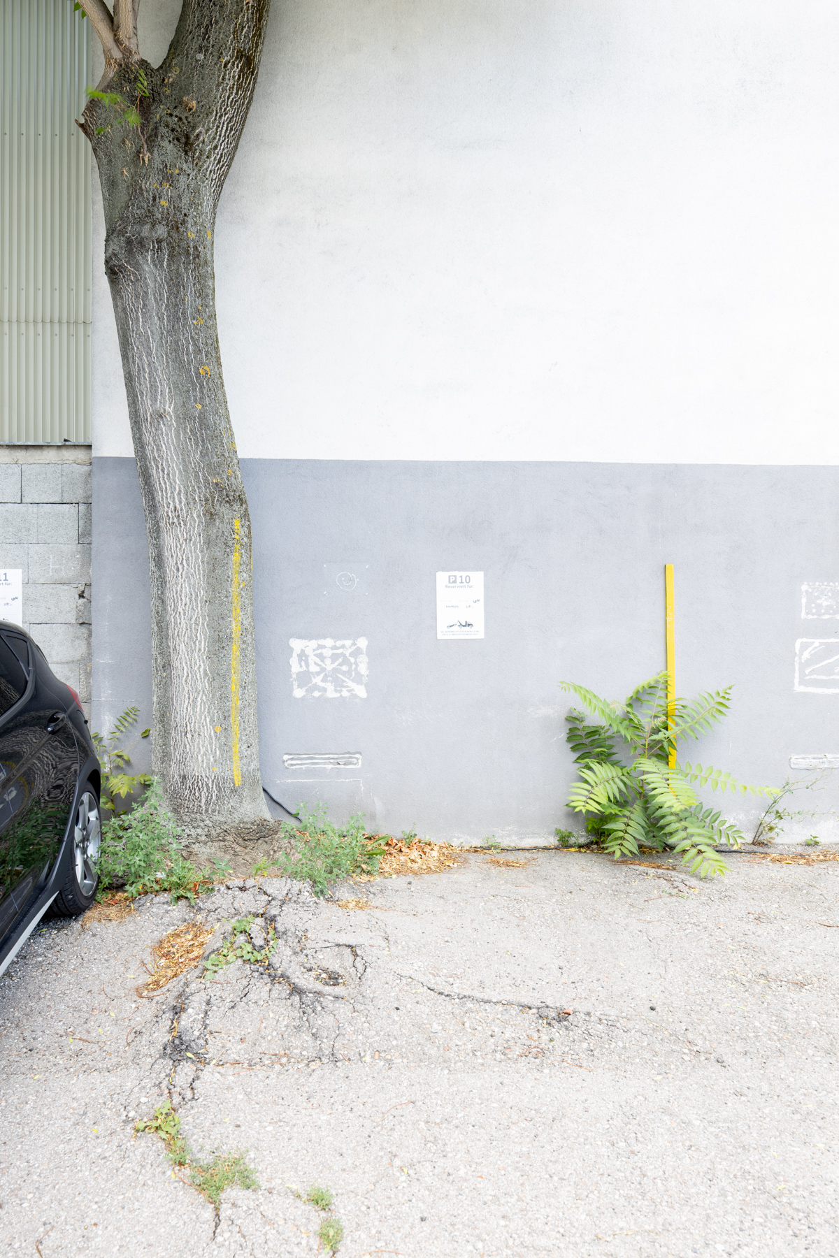 baeumeurban_c_HannahMayr_06