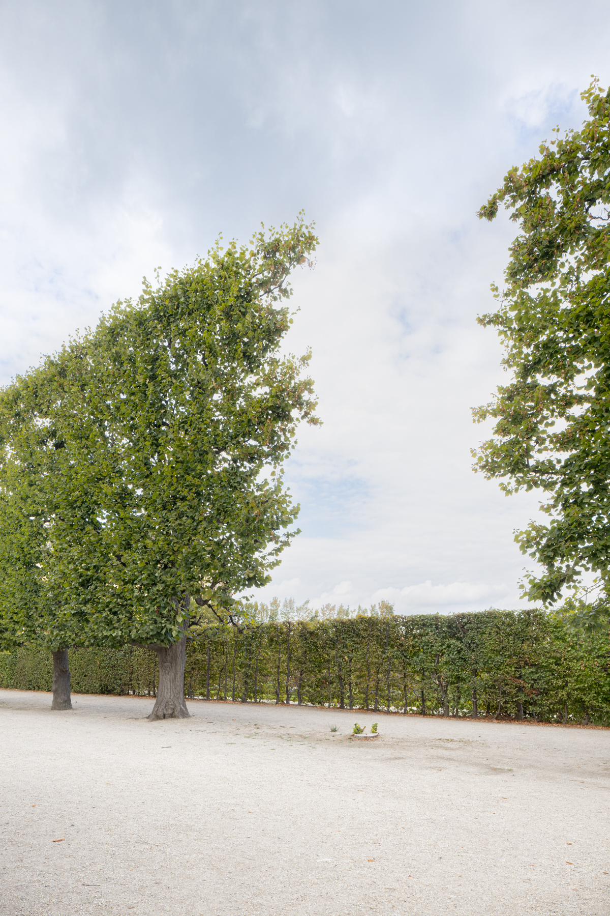baeumeurban_c_HannahMayr_08