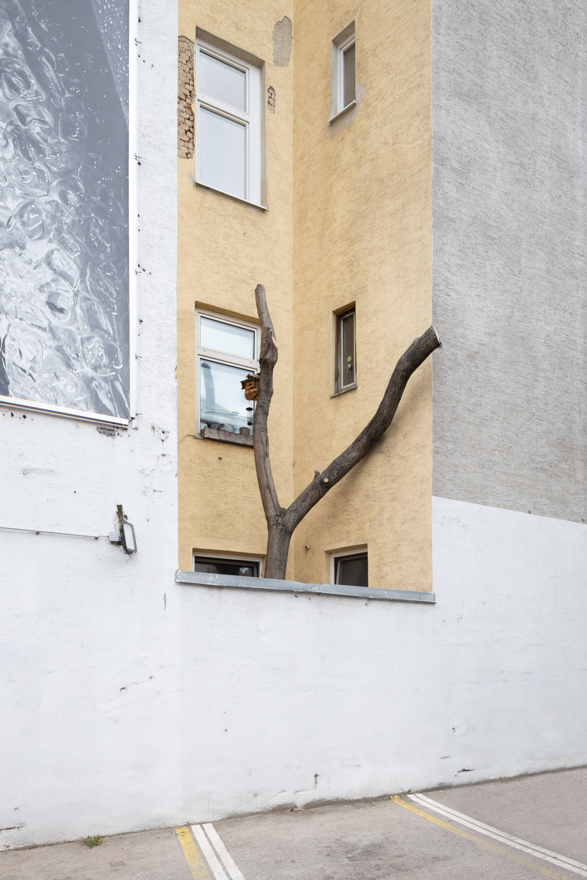 baeumeurban_c_HannahMayr_11