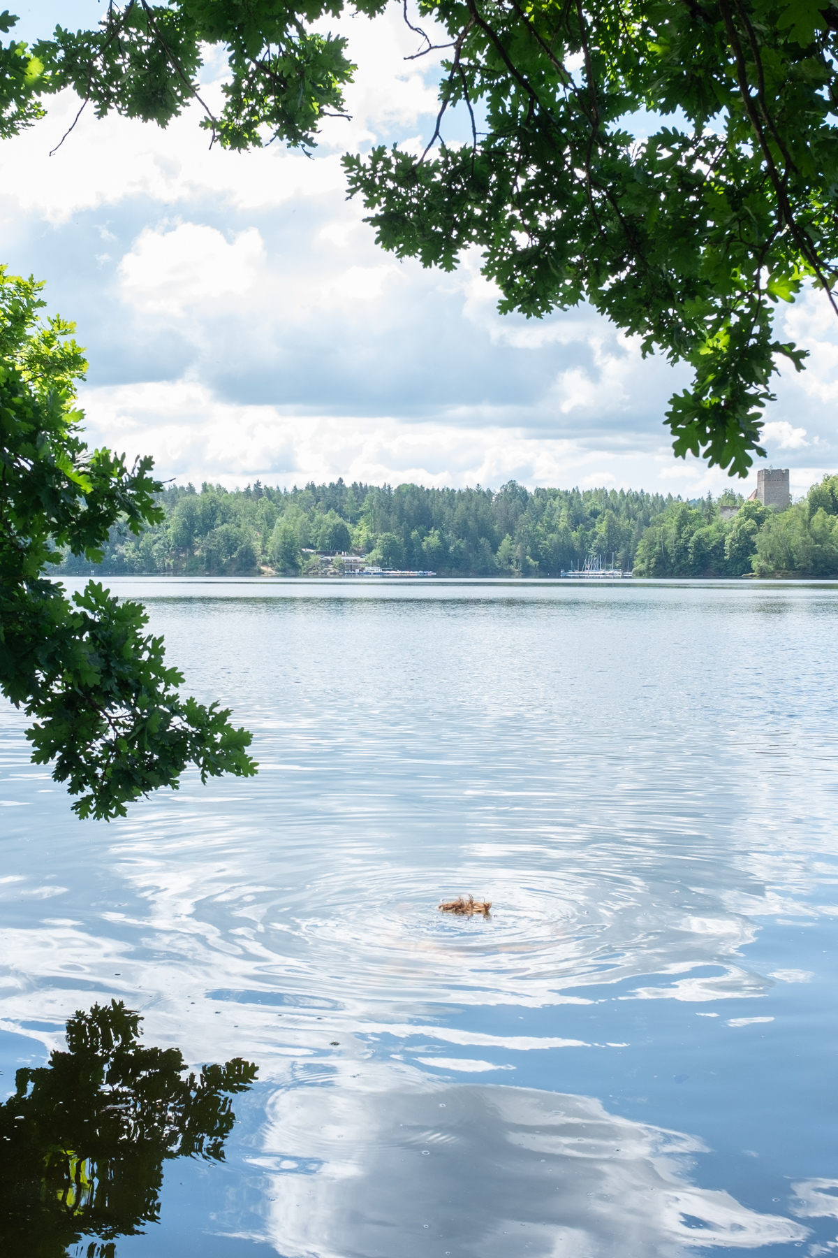 landscape_c_HannahMayr_04