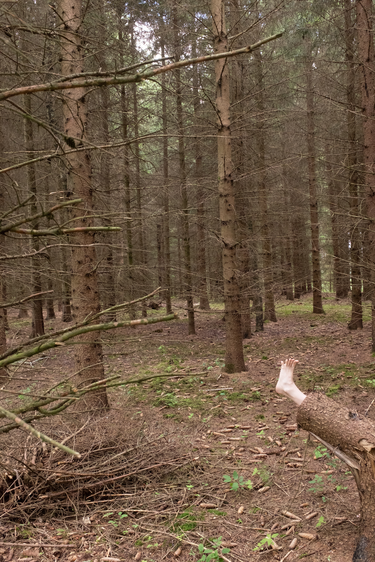 landscape_c_HannahMayr_07