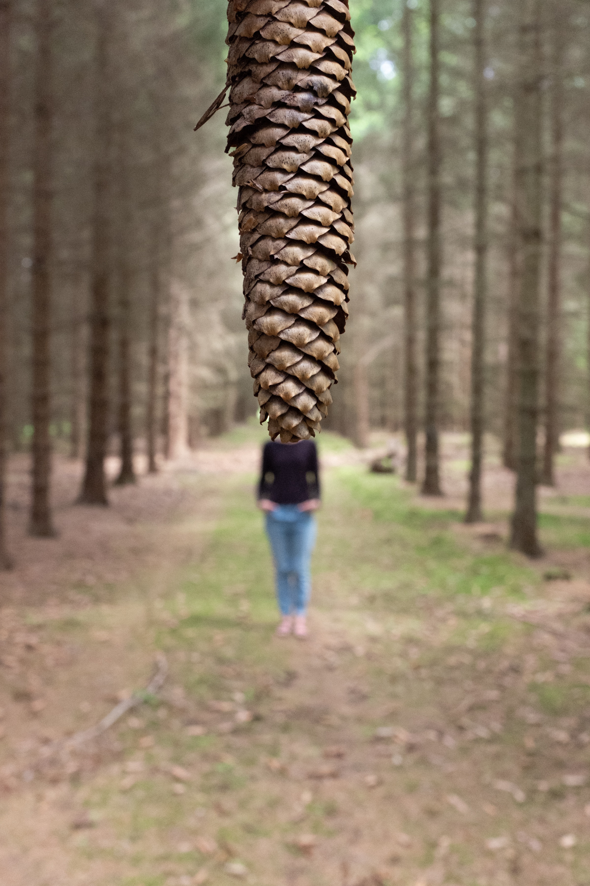 landscape_c_HannahMayr_09