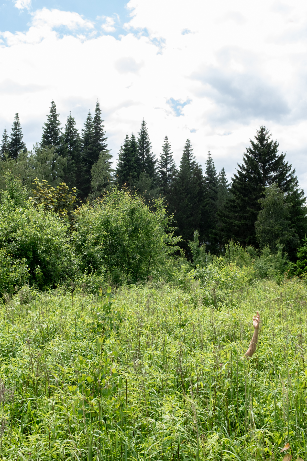 landscape_c_HannahMayr_10
