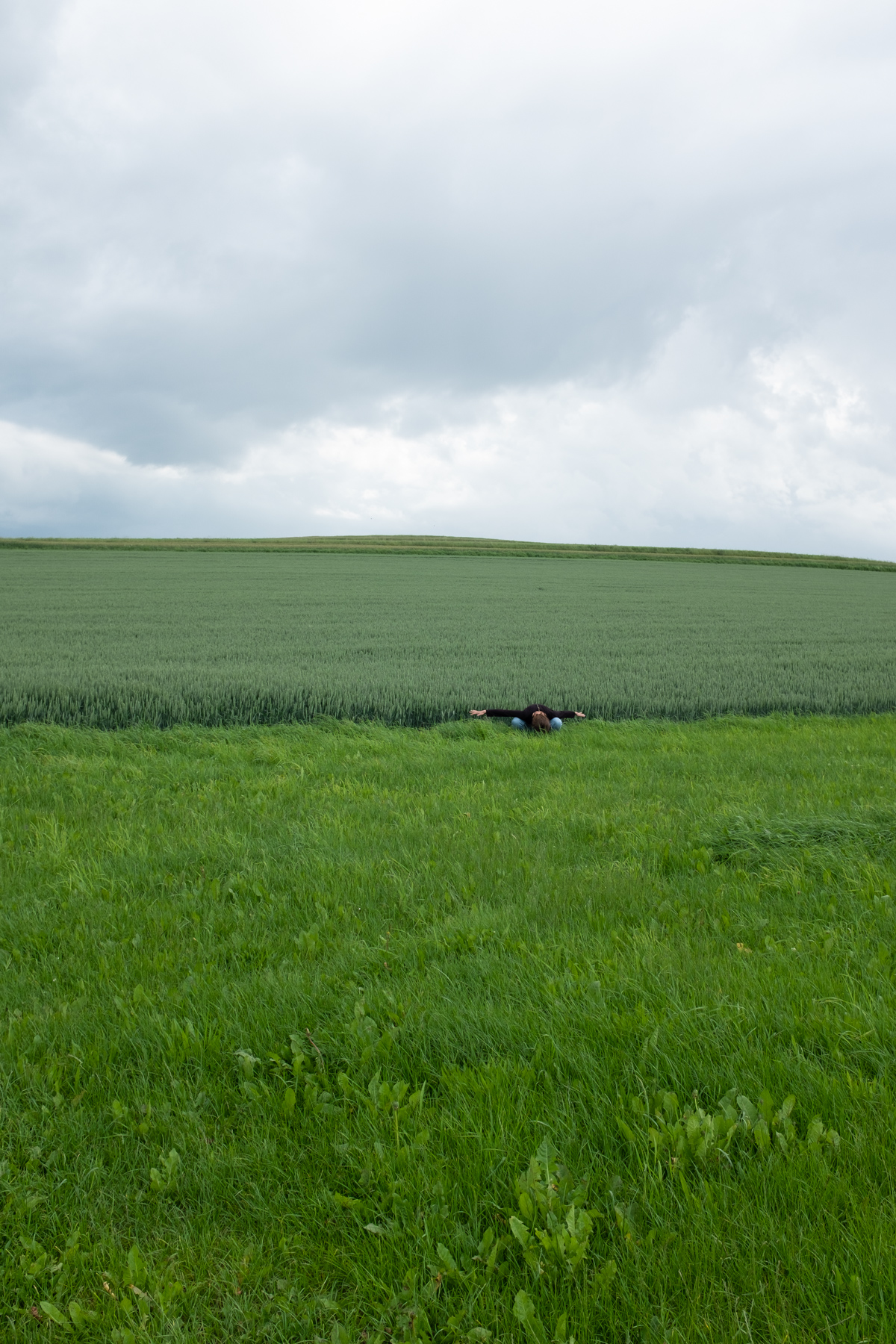 Landscapes