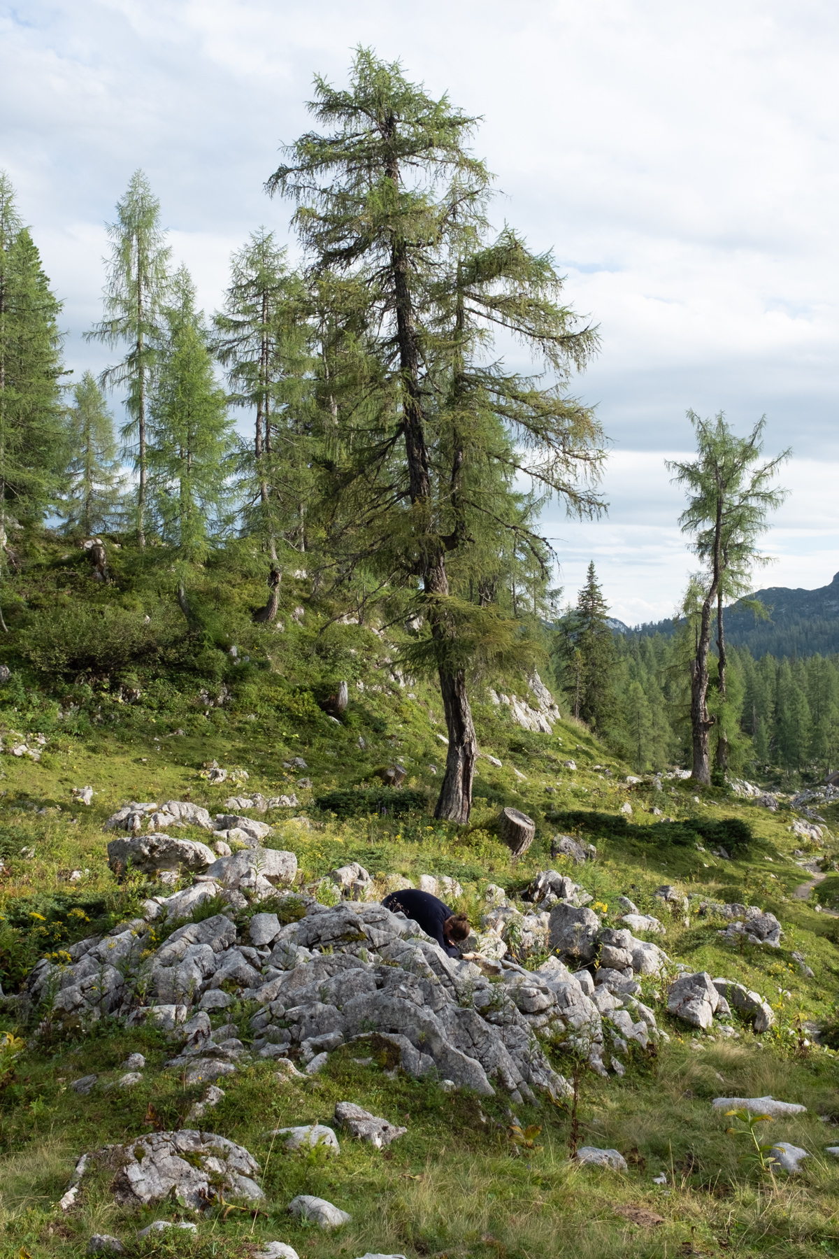 landscape_c_HannahMayr_18